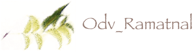 OdV_Ramatnal | logo